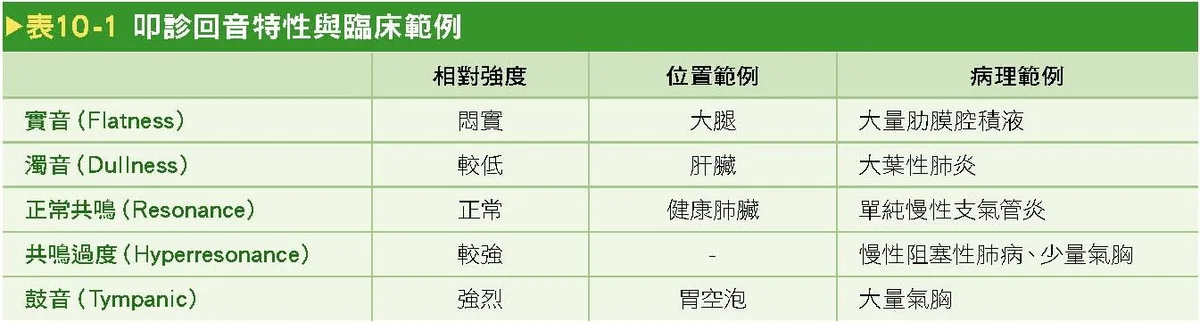 叩診回音的種類、特性與對應組織