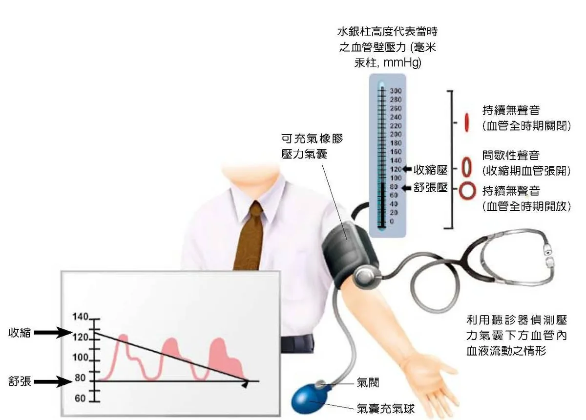 血壓計組成與正確測量方式