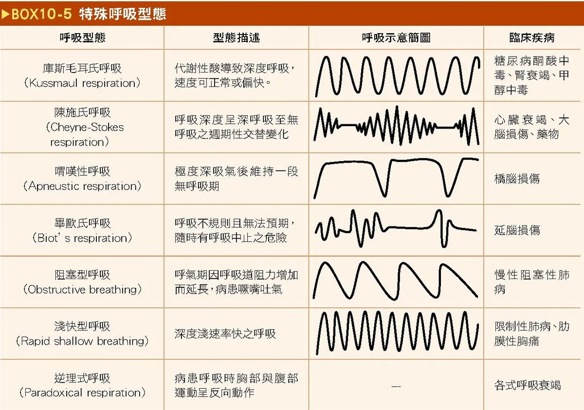 各種異常呼吸型態的波形對照