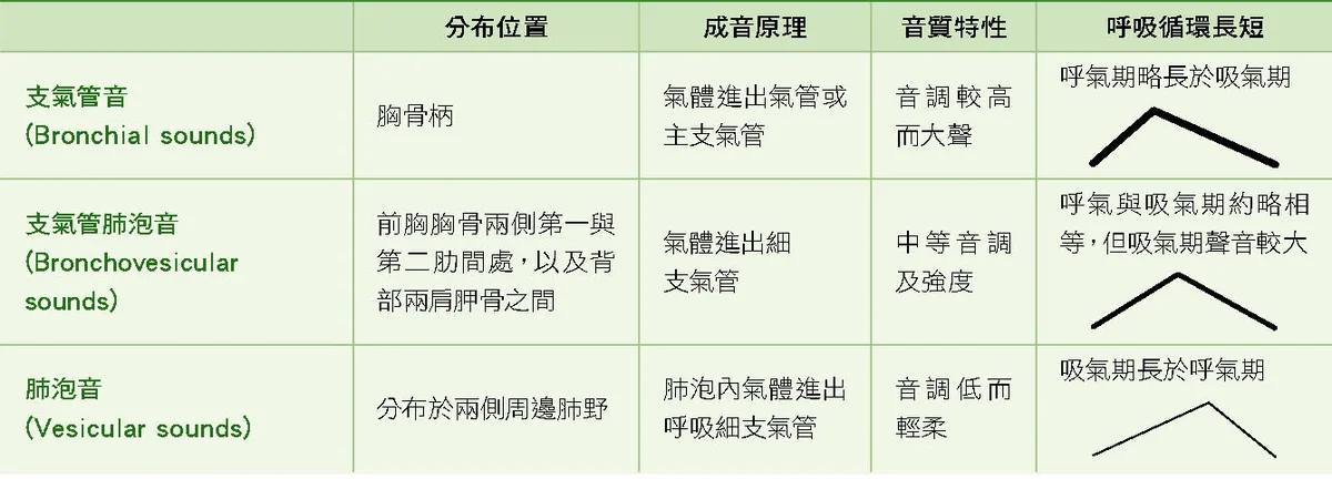正常呼吸音三型整理表