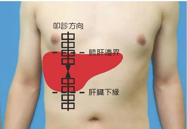 肝幅叩診的兩個方向