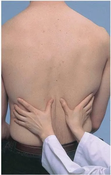 後胸部觸覺震顫評估