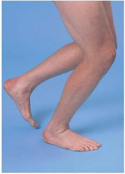 腳跟腳趾行進